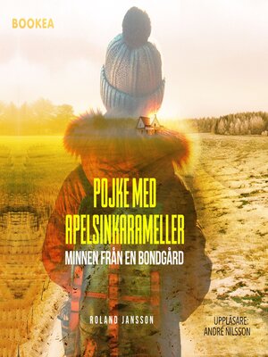 cover image of Pojke med apelsinkarameller